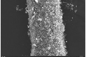 内外表面生长碳纳米管的含有Fe<sub>3</sub>C的空心复合碳纤维及其制备方法