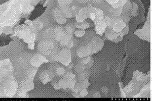 沥青基硅碳纳米片锂电负极材料的制备方法