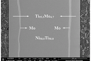TiMo-NiTi大类线弹性复合板及其制备方法