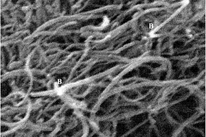 疏松的三维立体宏观碳纳米管网的制备方法