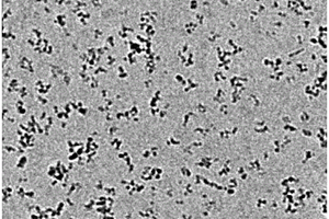超分散抗菌纳米金刚石材料及其制备方法