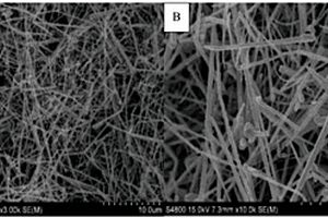 复合CNTs与铜纳米线制备低感度叠氮化铜的方法