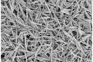 纤维状氮化钛/氮化硅/氮化碳复合纳米材料及其制备方法