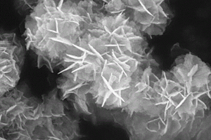 Gd<Sup>3</Sup><Sup>+</Sup>掺杂的BiOBr光催化材料的制备方法
