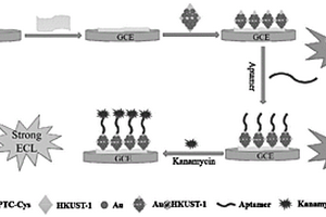 用于检测卡那霉素的电化学发光适配体传感器及其制备方法