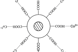 固定化载体及其制备方法和固定化β-葡萄糖苷酶