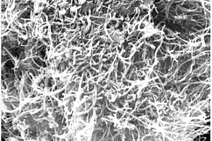 细菌纤维素/聚苯胺/碳纳米管导电膜材料的制备方法及其应用