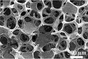 分级孔道泡沫状有序中孔炭整体材料的制备方法