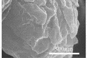 高效率制备分散在天然多糖中的石墨烯纳米片材料的方法