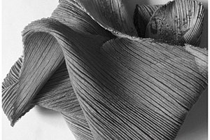 真丝羊毛毡化复合褶皱材料及其制备方法