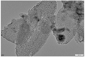 高效钴基纳米片电解水催化剂及其制备方法和应用