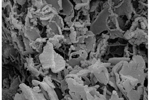 具有吸附光催化协同效应的g-C<Sub>3</Sub>N<Sub>4</Sub>/SiO<Sub>2</Sub>复合环境净化材料