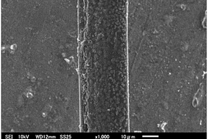 表面纳米涂覆改性的纤维及其制备方法