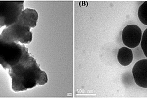 纳米TiO<sub>2</sub>-g-PBA改性POM材料的制备方法