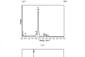 三维异质结构CdS-MoS<sub>2</sub>复合粉体的制备方法