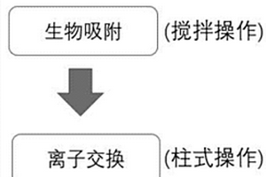 生物吸附材料与负载型树脂组合脱除重金属的方法