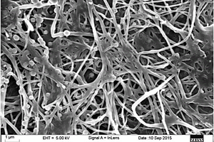 纳米纤维素/大豆蛋白复合过滤材料及制备方法、用途