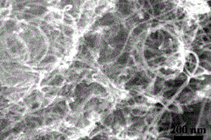 超声喷雾制备碳纳米管负载金纳米的方法