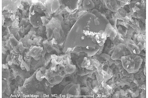 基于陨石制备的磁性纳米零价金属复合生物多孔陶粒、其制备方法及应用