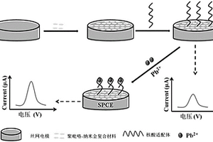 基于核酸适配体的铅离子电化学传感器的制备方法