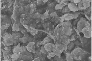 磷酸银/多壁碳纳米管/钨酸铋复合光催化材料及其制备方法