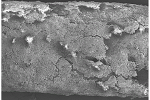 微生物矿化改性聚丙烯纤维的方法及其应用