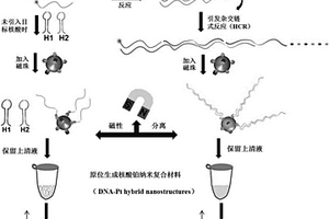 基于核酸和铂纳米材料的自组装体系检测核酸浓度的方法