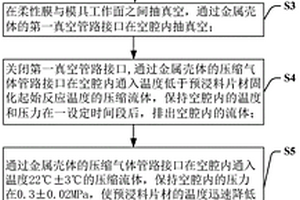 预压实装置及预压实方法