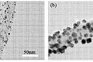 金属纳米粒子修饰多糖包覆碳纳米管的制备方法