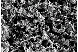 多孔富碳硅碳氮陶瓷吸波导热材料及其制备方法