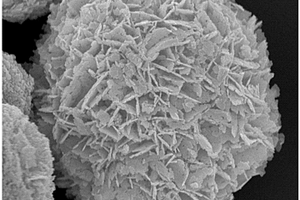 钨酸铋-硫化钼复合微米花球及其制备方法和应用