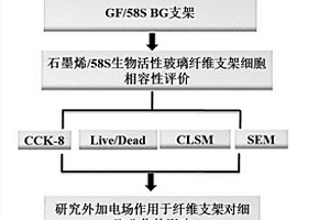 基于石墨烯和58S生物活性玻璃的三维互穿网络支架及其应用