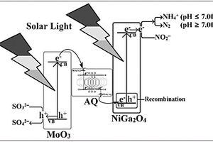 新型光催化剂NiGa<sub>2</sub>O<sub>4</sub>/AQ/MoO<sub>3</sub>及其制备方法和应用