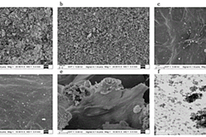 壳聚糖修饰磁性纳米材料的制备及其应用