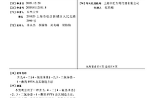 含2,4-二(4-氨基苯基)-2,3-二氮杂萘-1-酮的PPTA及其制造方法