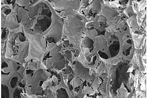 纳米纤维素/聚氨酯泡沫复合弹性体的制备方法