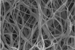 硫化锂/碳复合纳米材料及其制备方法与应用