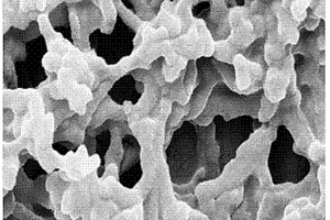 碳纳米管/聚希夫碱聚合物及其制备方法和应用