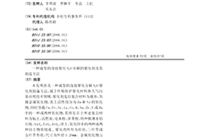 成型的直接催化N2O分解的催化剂及其制造方法