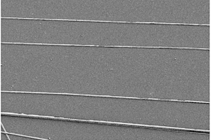 表面修饰定向纳米纤维的石墨烯薄膜的制备方法