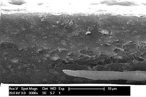 取向氧化锌纳米棒聚乙烯醇复合储能电容器材料及其制备方法