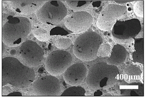 基于发泡-造孔剂结合法制备白云石微珠/无机聚合物复合泡沫材料的方法