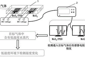 MoS<Sub>2</Sub>/PEO湿度传感器、双器件湿度传感装置与湿度检测方法