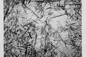 纤维状纳米氧化铝粉体的制备方法