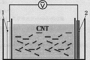 电场辅助碳纳米管在液体介质中的分散方法