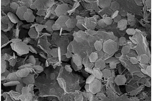 氢氧化钴/石墨烯柔性电极材料的制备方法及其应用