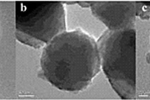 TiO<sub>2</sub>/Fe<sub>3</sub>O<sub>4</sub>掺杂PVDF膜的制备方法及其催化降解多溴联苯的应用