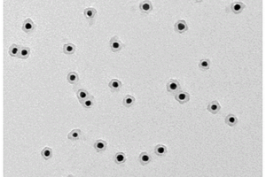 膜厚度可调节的碳基薄膜化金纳米粒子的制备方法和应用