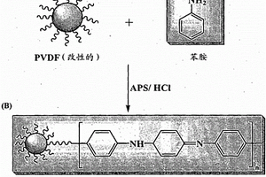 聚(偏氟乙烯)系聚合物和至少一种类型的导电聚合物的接枝共聚物，以及形成该接枝共聚物的方法