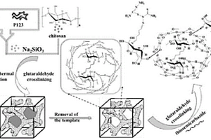氨基硫脲功能化的三维壳聚糖/二氧化硅材料及其制备方法和应用
